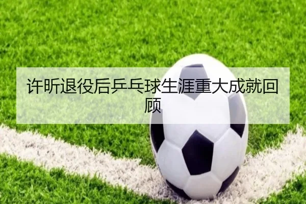 许昕退役后乒乓球生涯重大成就回顾